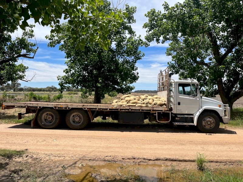 1996 Freightliner FL80 Tipping Truck