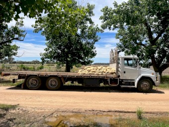 1996 Freightliner FL80 Tipping Truck