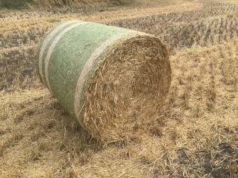 Wheaten Straw 5x4 Rolls (New Season 22/23)