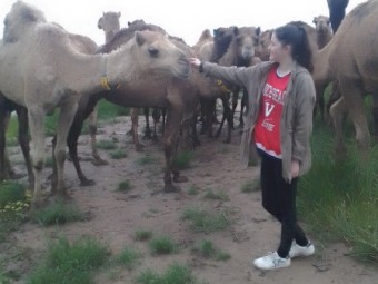 Female camels
