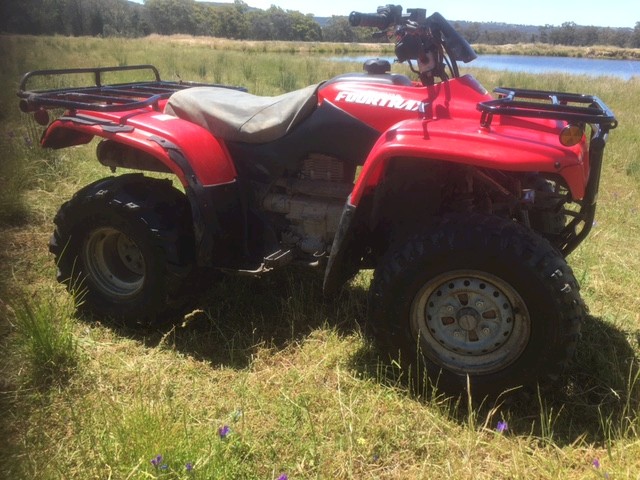 2002 Honda TRX 250 2WD.
