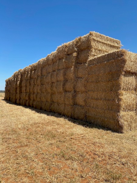450mt Wheaten Hay 610kg 8x4x3 Bales (New Season 22/23)