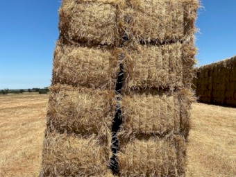 450mt Wheaten Hay 610kg 8x4x3 Bales (New Season 22/23)