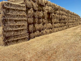 450mt Wheaten Hay 610kg 8x4x3 Bales (New Season 22/23)