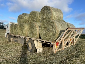 International 10 Speed Truck, tray with quick attachments stock rate and hay back cradle rest