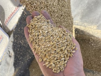 Barley BAR1 2022/23 Season