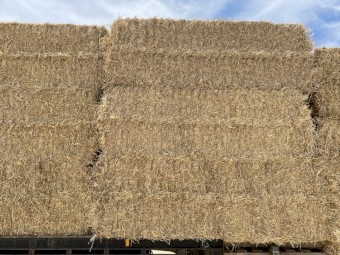 2022  season barley straw