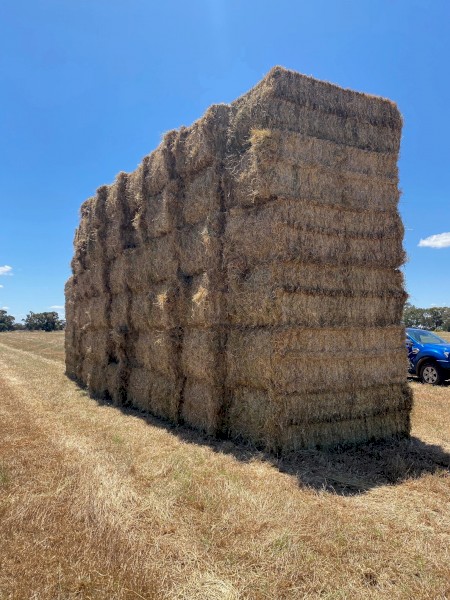 Clover Rye Hay 8x4x3 Bales (New Season 22/23)