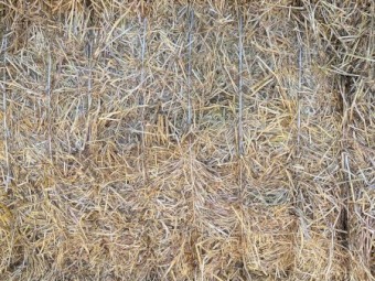 Clover Rye Hay 8x4x3 Bales (New Season 22/23)