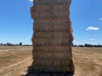 Clover Rye Hay 8x4x3 Bales (New Season 22/23)