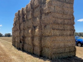 Clover Rye Hay 8x4x3 Bales (New Season 22/23)