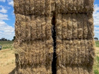 Clover Rye Hay 8x4x3 Bales (New Season 22/23)