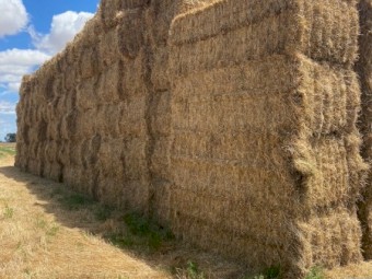 Clover Rye Hay 8x4x3 Bales (New Season 22/23)