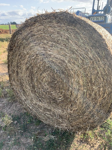 Balansa Clover Hay 425kg 5x4 Rolls