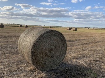 Balansa Clover Hay 425kg 5x4 Rolls