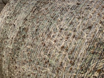 Balansa Clover Hay 425kg 5x4 Rolls