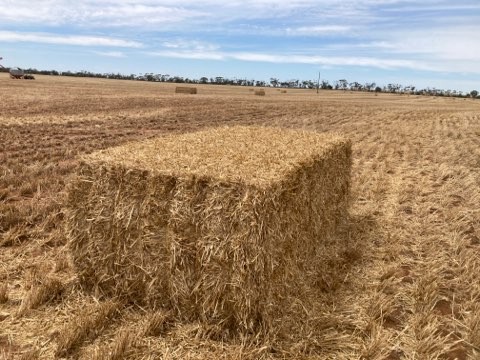 400mt  Barley Straw 8x4x3 Bales (22/23)