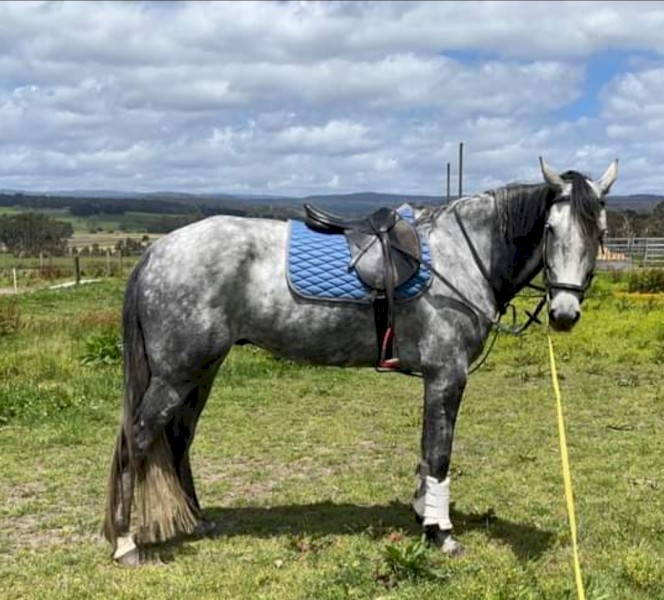 WANTED ACREAGE & HOUSE