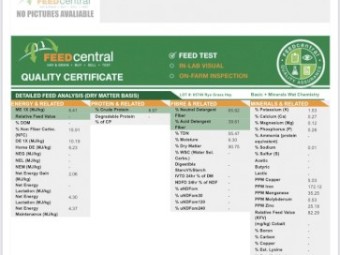 Rye/Cereal Hay Large Square Bales