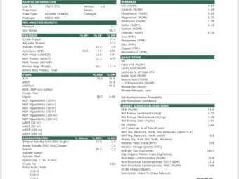 100tonne Vetch Hay 8x4x3 Bales (New Season 22/23)