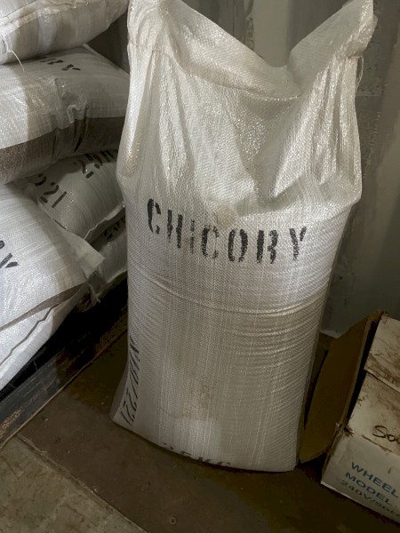 Chicory Pasture Seed