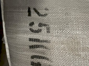 Chicory Pasture Seed