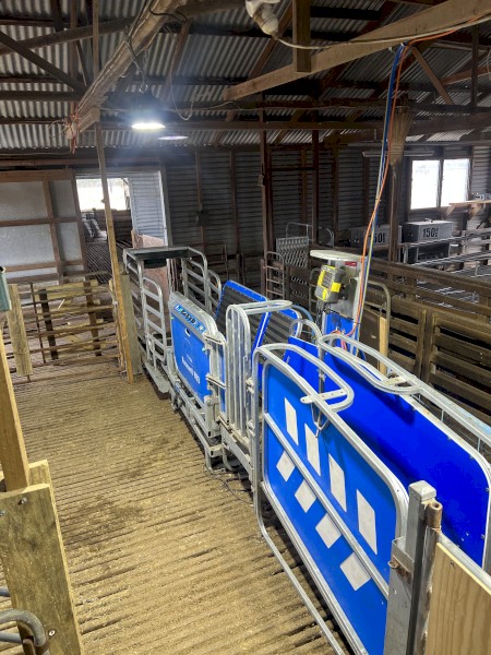 2022 Te Pari Sheep Handler