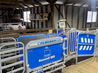 2022 Te Pari Sheep Handler