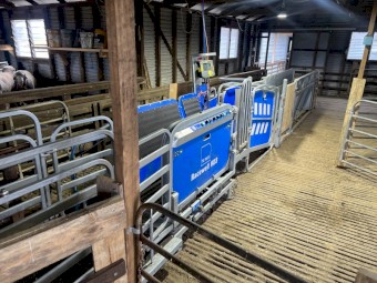 2022 Te Pari Sheep Handler