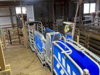 2022 Te Pari Sheep Handler