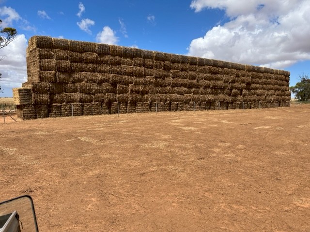 73mt Vetch Hay 580kg 8x4x3 Bales (New Seasons 22/23)