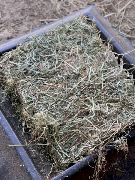 25/75 Lucerne and Pasture Small Squares