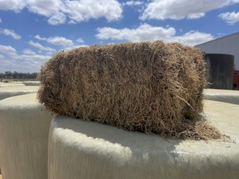 Sub Clover Small Squares 