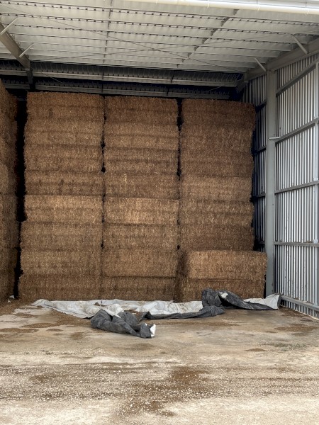 60mt Vetch Hay 8x4x3 Bales (New Season 22/23)