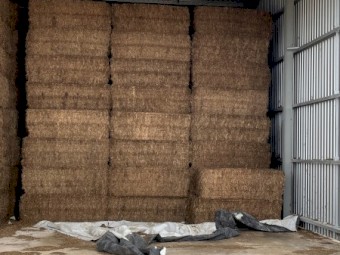 60mt Vetch Hay 8x4x3 Bales (New Season 22/23)