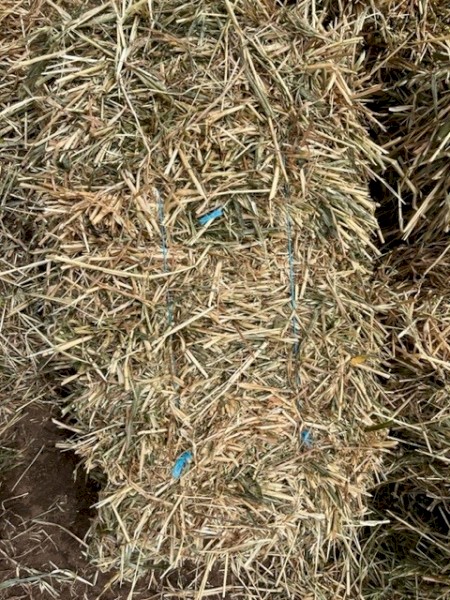 Oaten Hay Small Bales