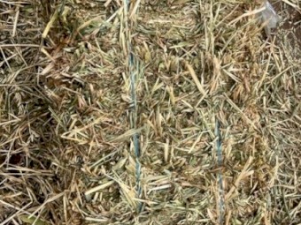 Oaten Hay Small Bales