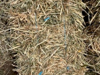 Oaten Hay Small Bales