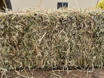 Oaten Hay Small Bales