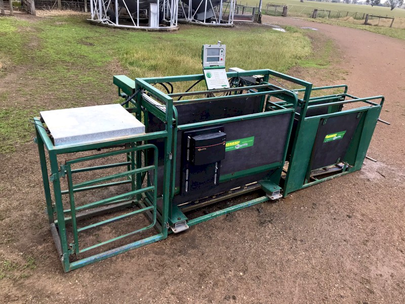 Ruddweigh 3-way Sheep Auto Drafter, with Ruddweigh 800 weigh Indicator & Gallagher R Series EID reader