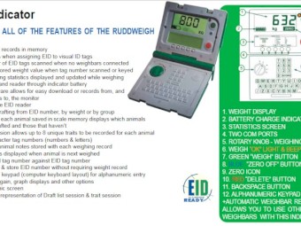 Ruddweigh 3-way Sheep Auto Drafter, with Ruddweigh 800 weigh Indicator & Gallagher R Series EID reader