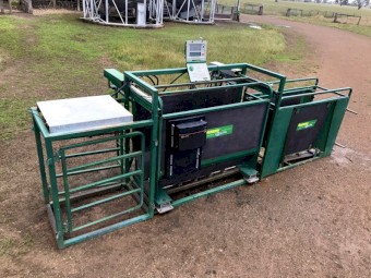 Ruddweigh 3-way Sheep Auto Drafter, with Ruddweigh 800 weigh Indicator & Gallagher R Series EID reader