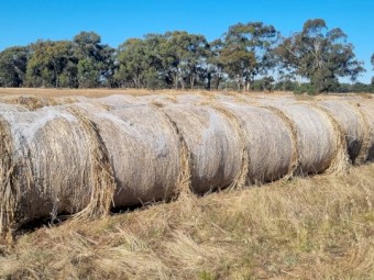 100 x Oaten/Rye Hay 5x4 Bales