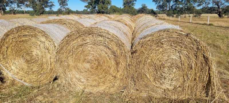 100 x Oaten/Rye Hay 5x4 Bales