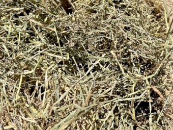 180mt Rye/Clover Hay 500kg 8x4x3 Bale (New Season 22/23)