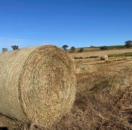 Oaten Hay 500kg 5x4 Round Bales (New Season 22/23)
