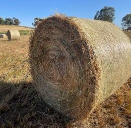 Oaten Hay 500kg 5x4 Round Bales (New Season 22/23)