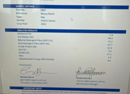 Vetch/Wheaten Hay 490kg 8x4x3 Bales (New Season 22/23)