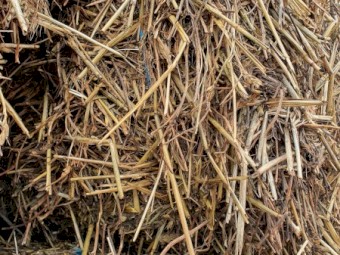 Vetch/Wheaten Hay 490kg 8x4x3 Bales (New Season 22/23)