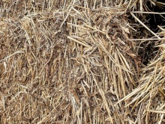 Vetch/Wheaten Hay 490kg 8x4x3 Bales (New Season 22/23)
